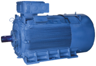  MOTORS PRODUCT RANGE Phase Electrical